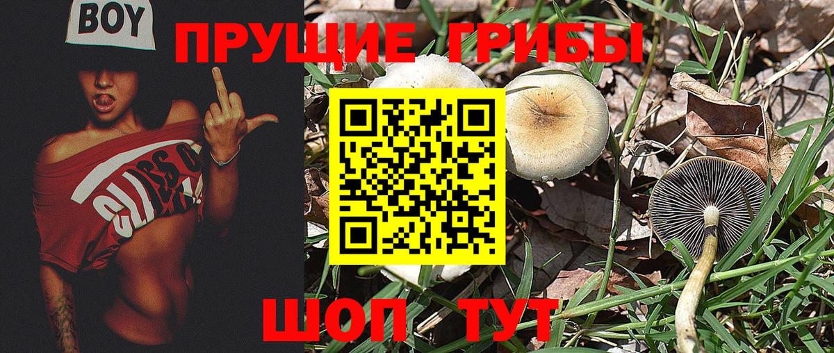 Галлюциногенные грибы Psilocybine cubensis  Галлюциногенные грибы ЛСД  Вход с VPN  Ростов-на-Дону 
